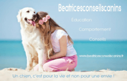 Béatrice 'Suzan Conseils Canins