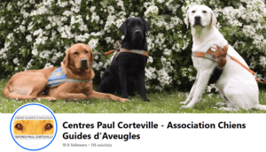 Chiens Guides d'Aveugles